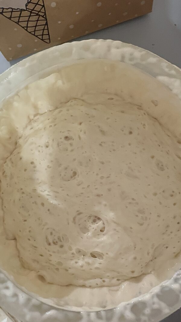 Active Sourdough Starter