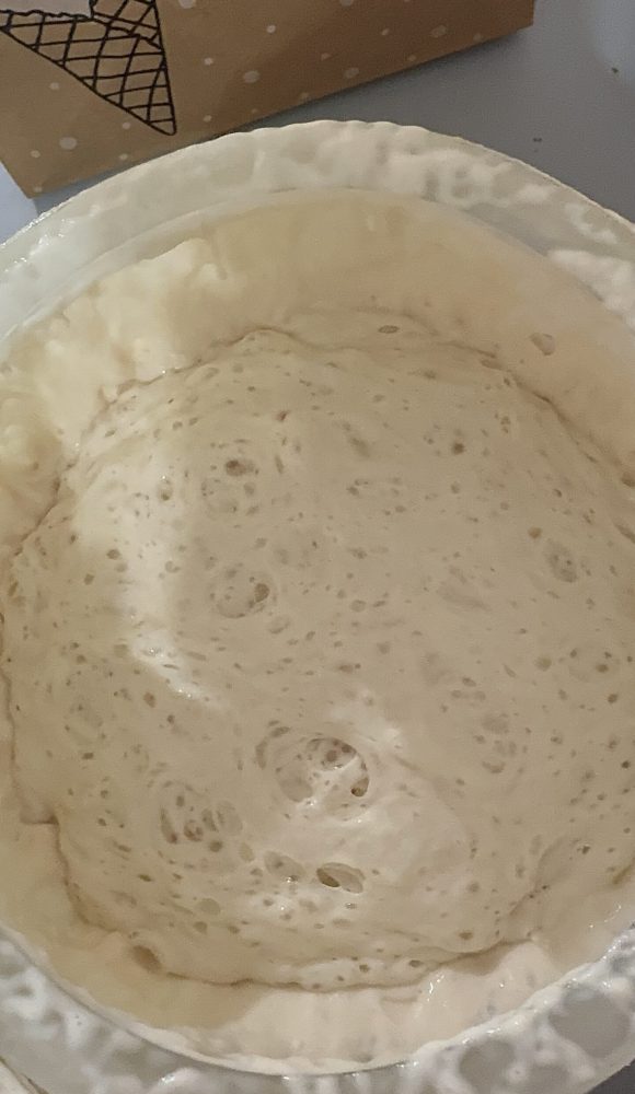 Active Sourdough Starter